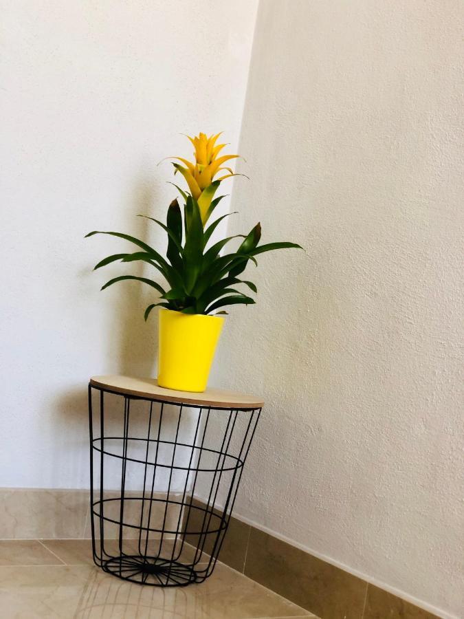 Guest House Stipe Брела Екстериор снимка